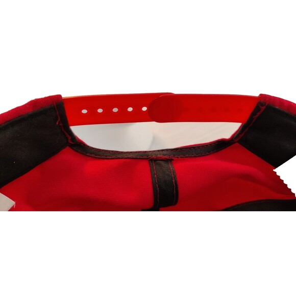 Vintage Detroit Red Wings Hockey Baseball Hat Twins Enterprise, Inc. NHL - Picture 10 of 11